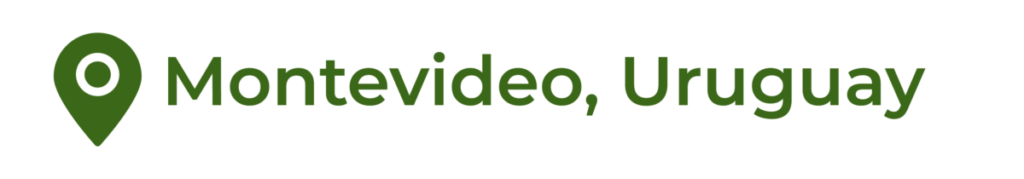 agencia de marketing digital montevideo uruguay