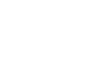 Inmobillis